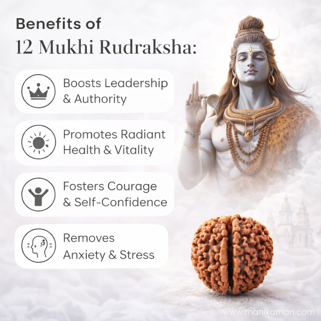 12 Mukhi Nepali Rudraksha