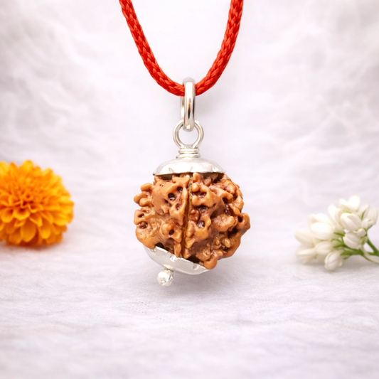 1 Mukhi Nepali Rudraksh