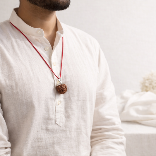 2 Mukhi Nepali Rudraksh