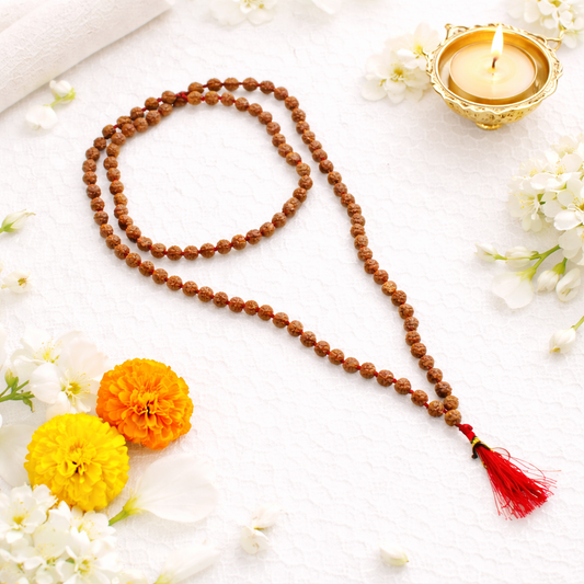 Brown Rudraksha Mala - 108+1 Beads