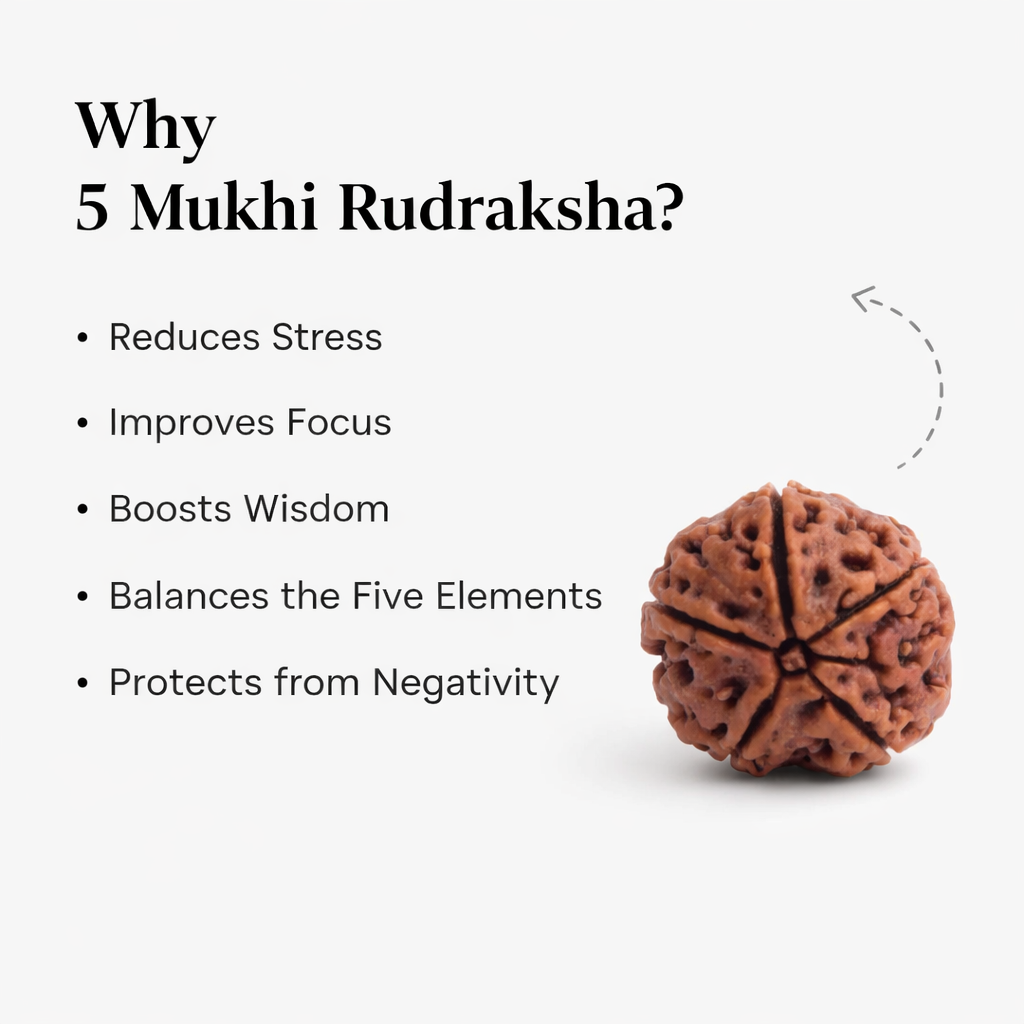 5 Mukhi Nepali Rudraksha