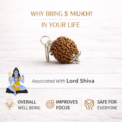 5 Mukhi Nepali Rudraksha