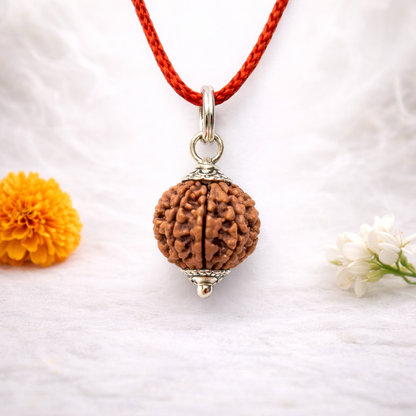 6 Mukhi Nepali Rudraksha