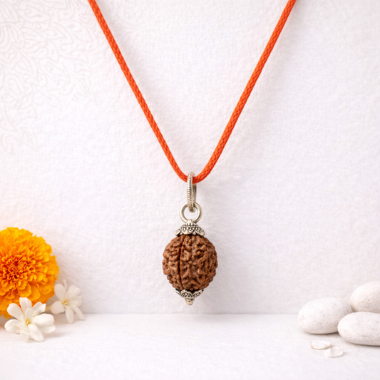 7 Mukhi Nepali Rudraksha