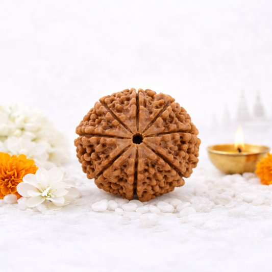 8 Mukhi Nepali Rudraksha