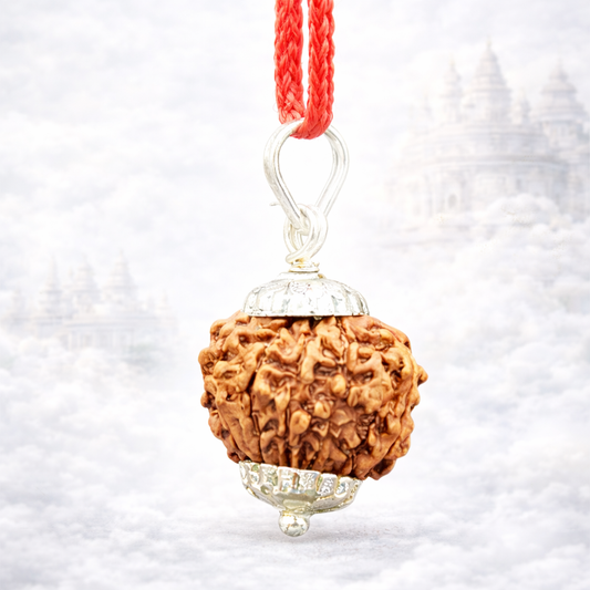9 Mukhi Nepali Rudraksha